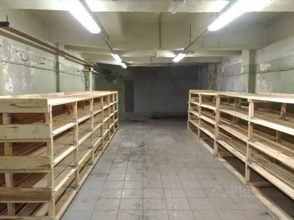 Помещение свободного назначения в Москва Бережковская наб., 20С13 (49 ... - Фото 1