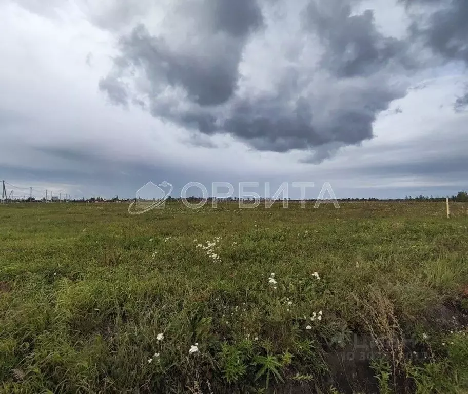 Участок в Тюменская область, Тюменский район, Винзили рп  (15.0 сот.) - Фото 0