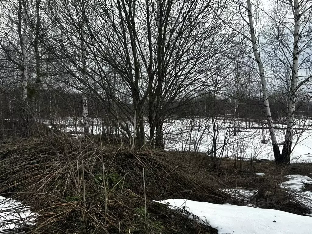 Участок в Московская область, Ступино городской округ, с. Сотниково  ... - Фото 1