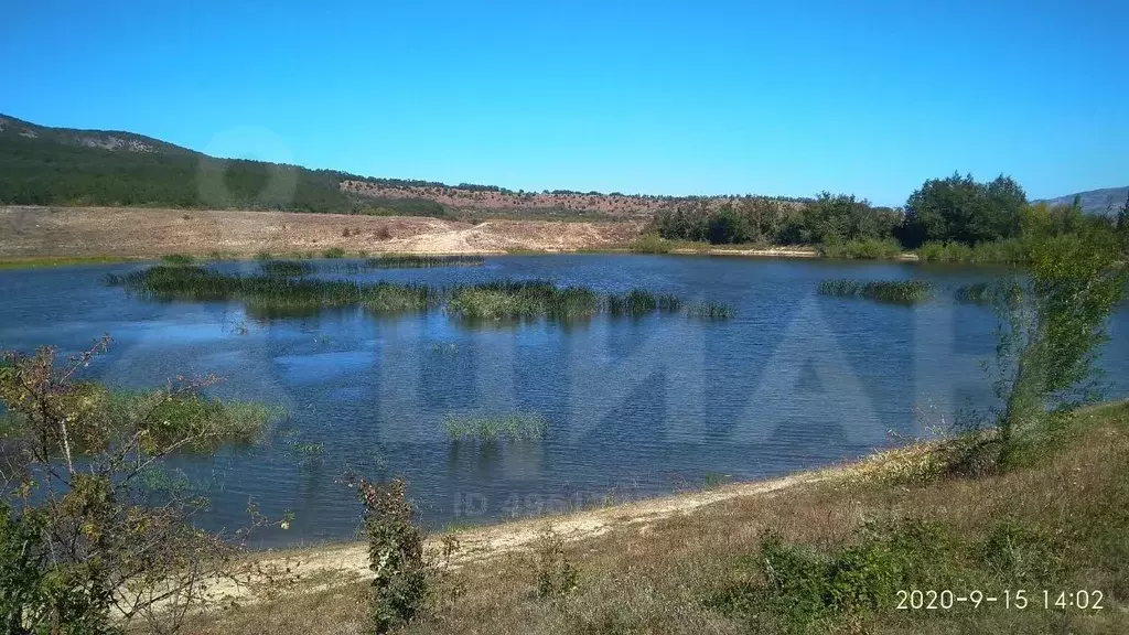 Купить Сено В Крыму Белогорский