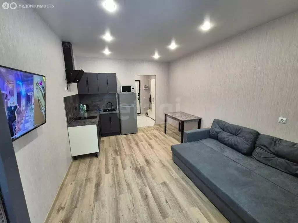 Квартира-студия: посёлок Шушары, Окуловская улица, 18 (23.3 м) - Фото 2