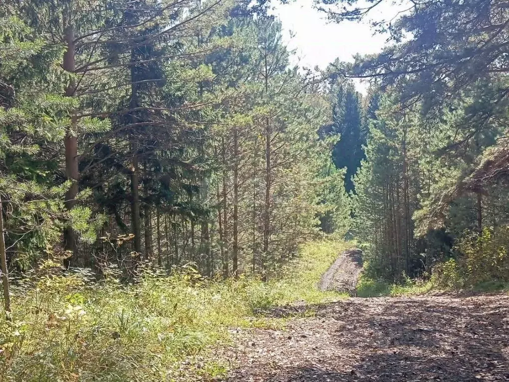 Участок в Красноярский край, Красноярск  (13345.0 сот.) - Фото 2