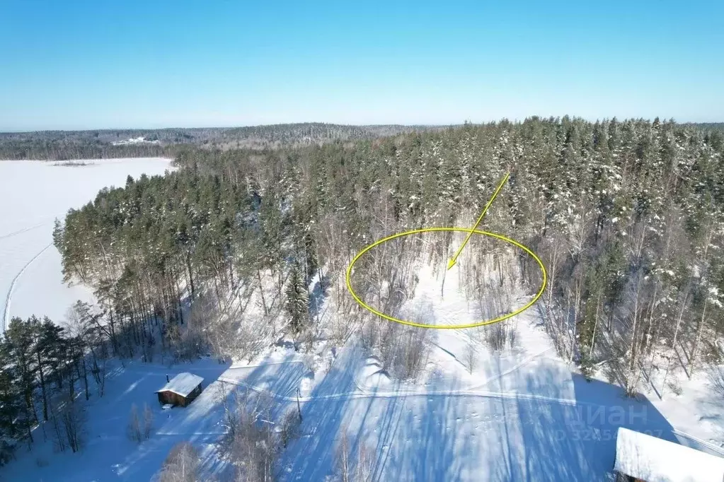 Участок в Карелия, Лахденпохский муниципальный округ, пос. Терваярви ... - Фото 1