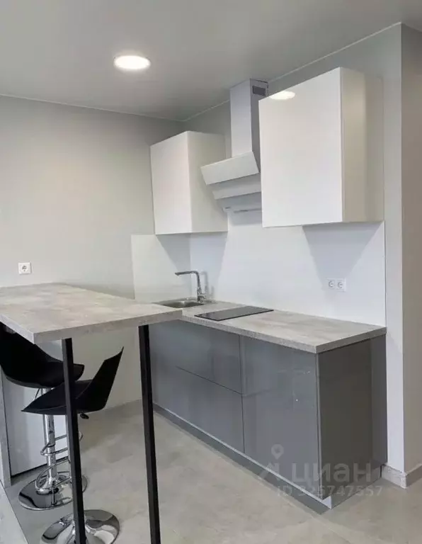 Студия Санкт-Петербург пос. Шушары, просп. Новгородский, 2к1 (28.0 м) - Фото 2