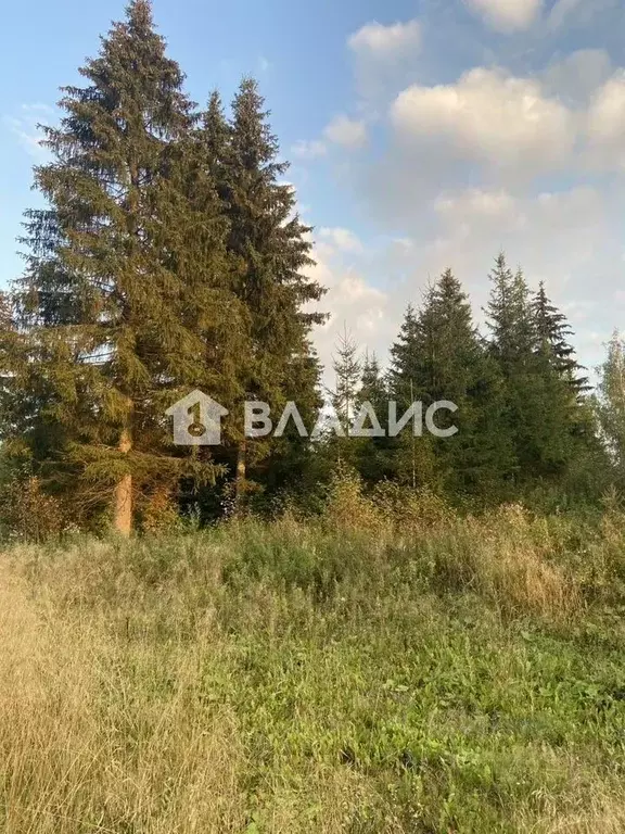 Участок в Ленинградская область, Ломоносовский район, Кипенское с/пос, ... - Фото 1