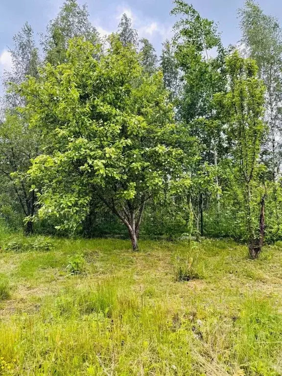 Участок в Ленинградская область, Ломоносовский район, Виллозское ... - Фото 0