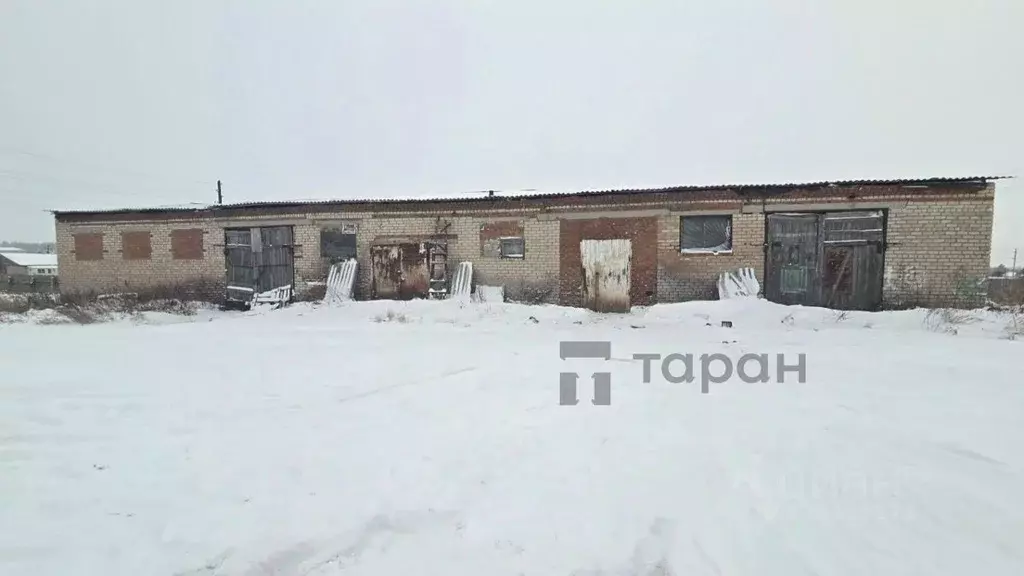 Склад в Челябинская область, с. Уйское ул. Дальняя (361 м) - Фото 2