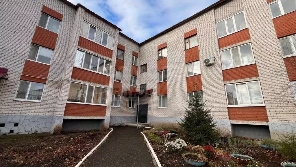 1-к кв. Оренбургская область, пос. Саракташ ул. Мира, 201 (35.3 м) - Фото 1