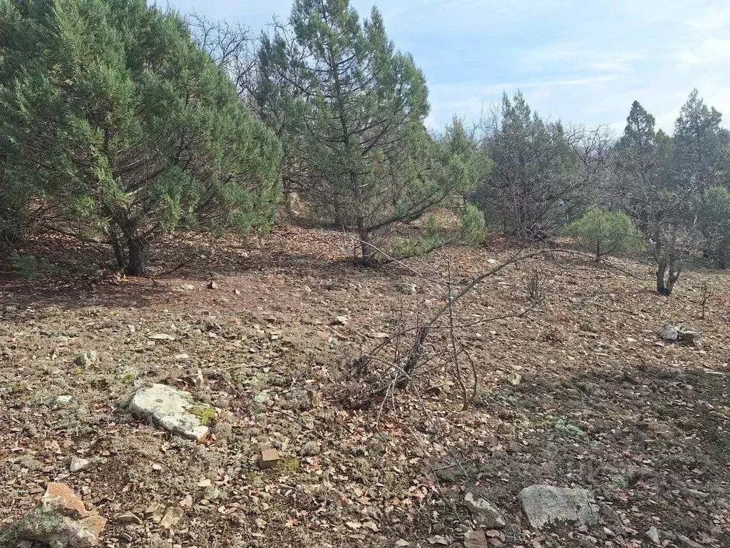 Участок в Крым, Алушта муниципальный округ, с. Приветное ул. Горького, ... - Фото 1