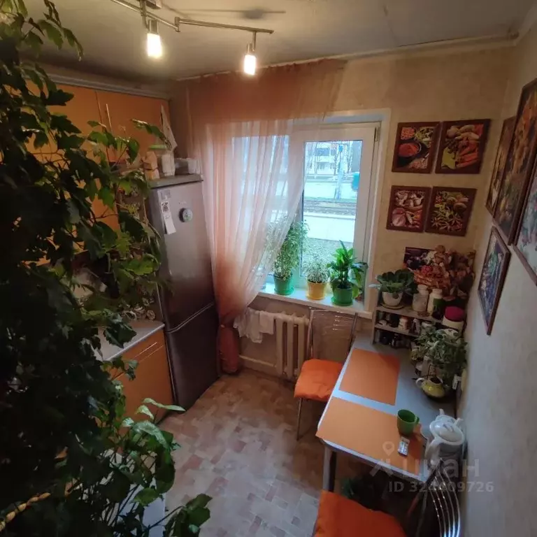 1-к кв. Орловская область, Орел Комсомольская ул., 386 (31.2 м) - Фото 2