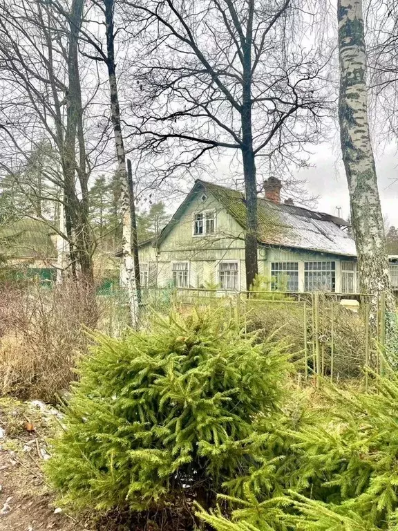 Дом в Санкт-Петербург пос. Песочный, Нижняя ул., 14 (93 м) - Фото 1