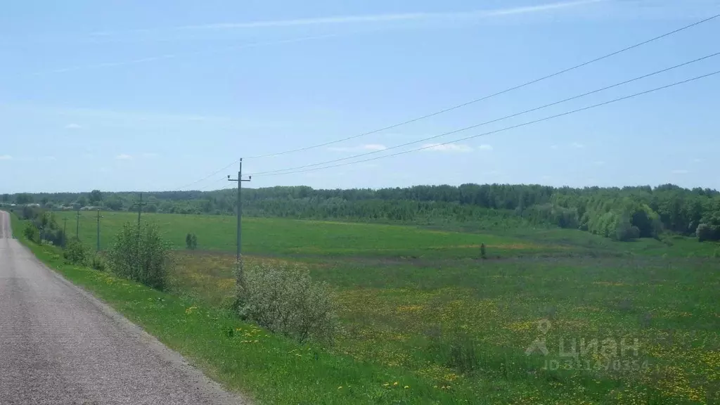 Участок в Московская область, Кашира городской округ, пос. Станции ... - Фото 1