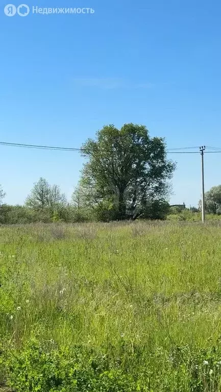 Участок в Сокуры, Лавандовая улица (6 м) - Фото 1