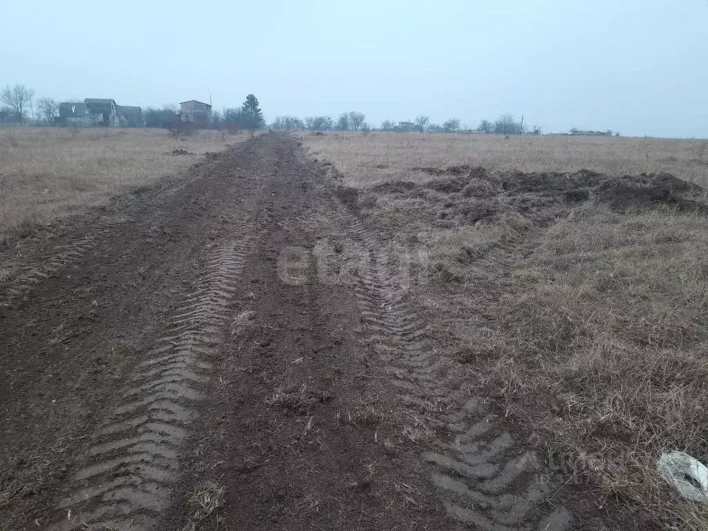 Участок в Крым, Симферопольский район, Урожайновское с/пос, Земляничка ... - Фото 1