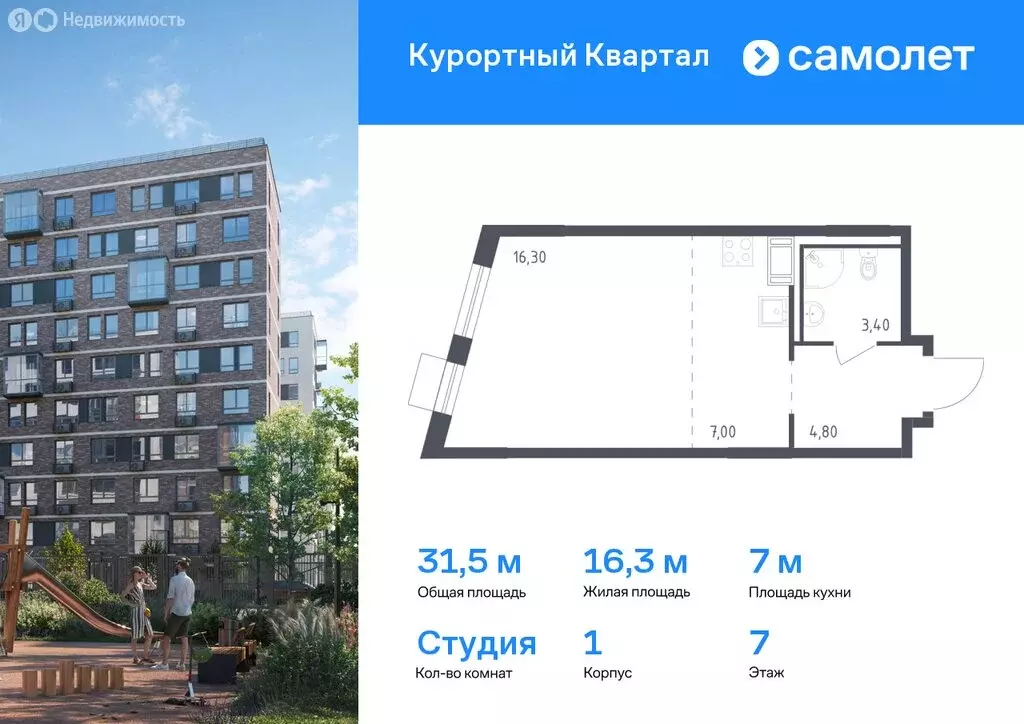 Квартира-студия: посёлок Песочный, Школьная улица, 80 (31.5 м) - Фото 0