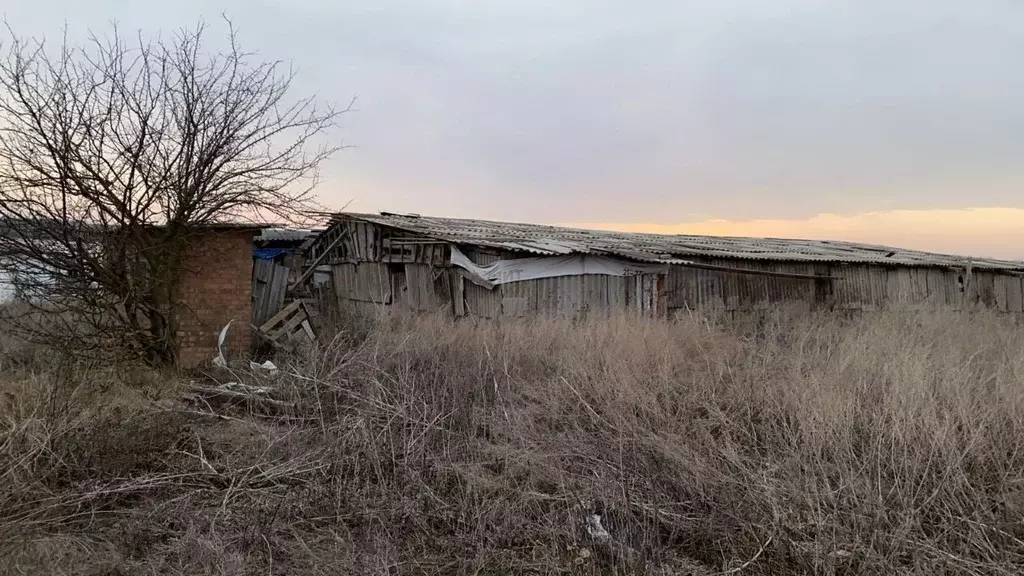 Участок в Ростовская область, Родионово-Несветайский район, Волошино ... - Фото 1