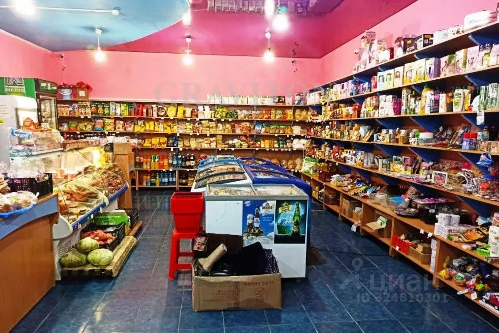 Торговая площадь в Алтай, Чойский район, с. Ынырга Центральная ул., 6 ... - Фото 1