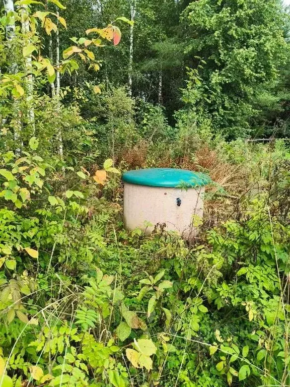 Участок в Ленинградская область, Волховский район, Колчановское с/пос, ... - Фото 2