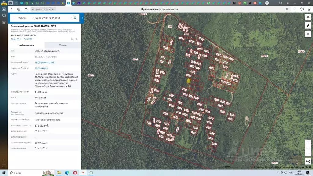 Участок в Иркутская область, Иркутский муниципальный округ, Аралия ДНП ... - Фото 0