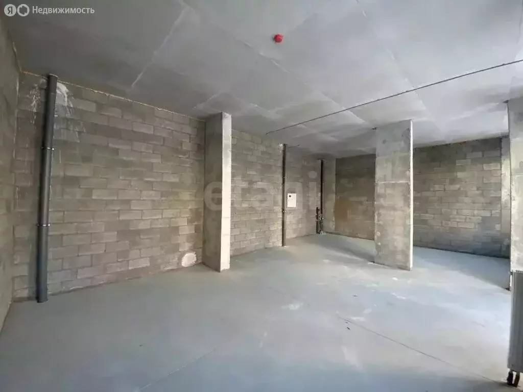 Помещение свободного назначения (63.9 м) - Фото 2