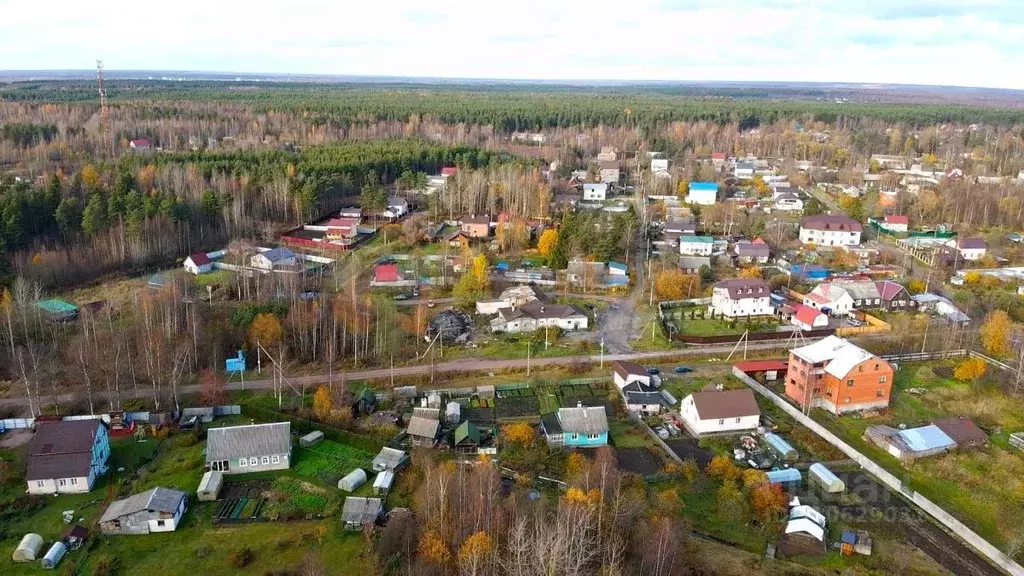 Участок в Ленинградская область, Всеволожский район, Рахья рп  (12.0 ... - Фото 1