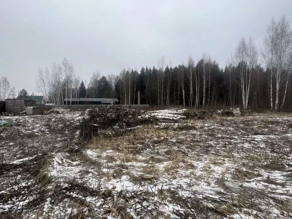 Участок в Московская область, Одинцовский городской округ, Супонево-1 ... - Фото 1