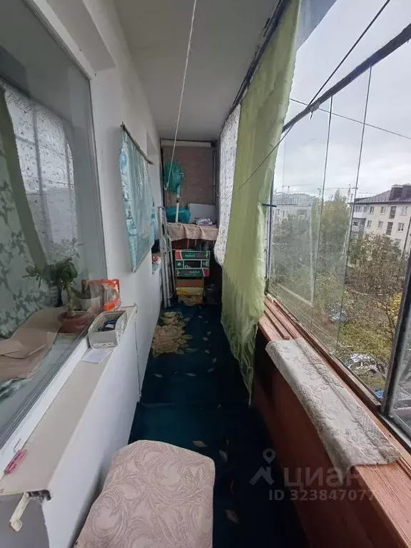 1-к кв. Крым, Симферопольский район, Молодежное пгт ул. Строителей, 5 ... - Фото 2