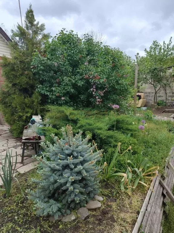 Участок в Ростовская область, Ростов-на-Дону ул. 2-я Ритмичная, 18 ... - Фото 1