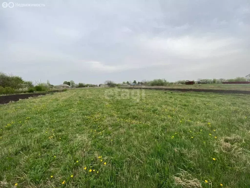 Участок в Яковлевский городской округ, село Смородино (15 м) - Фото 0