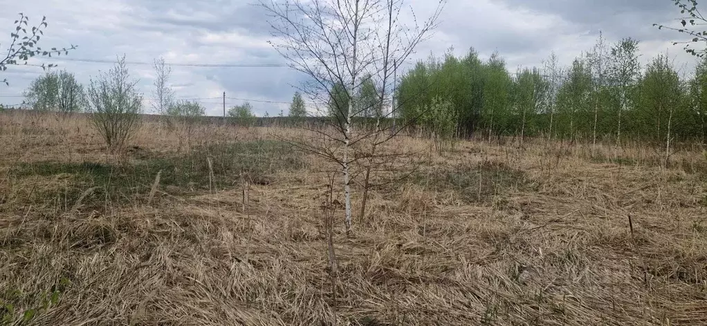 Участок в Московская область, Домодедово городской округ, д. ... - Фото 0
