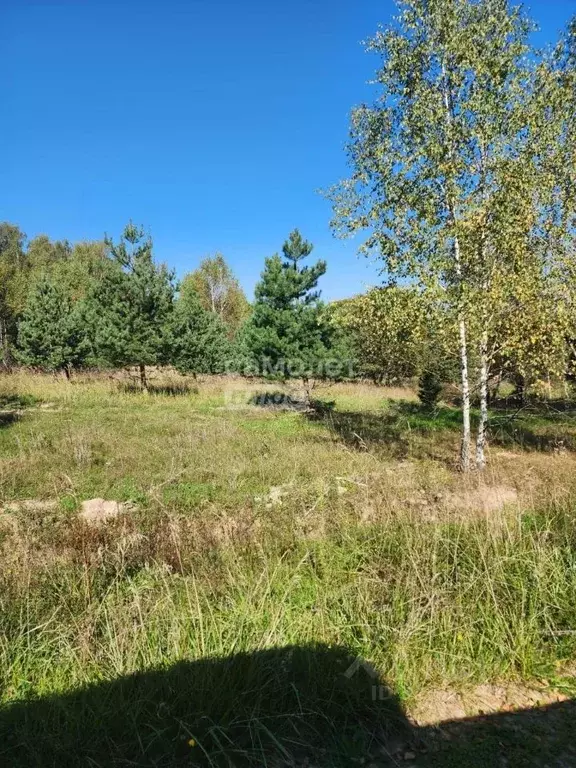 Участок в Московская область, Серпухов городской округ, д. Сидоренки  ... - Фото 2