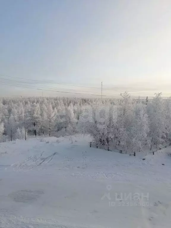 1-к кв. Ямало-Ненецкий АО, Новый Уренгой Ягельный мкр, ул. Южная, 32А ... - Фото 2