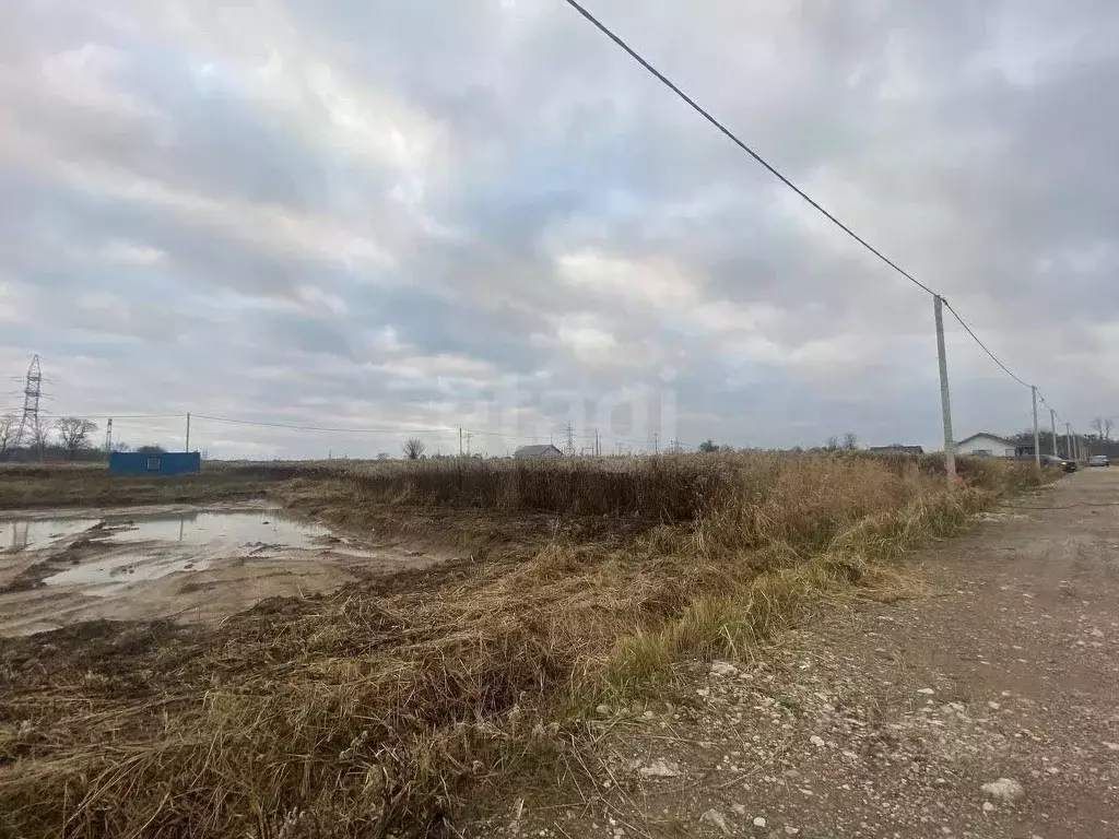 Участок в Калининградская область, Гурьевский муниципальный округ, ... - Фото 1