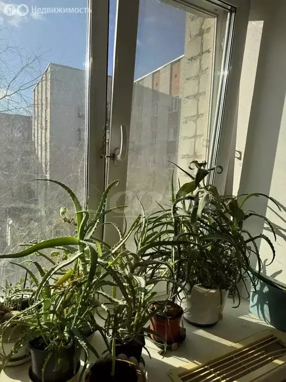 2-комнатная квартира: Тюмень, Олимпийская улица, 23 (42 м) - Фото 1