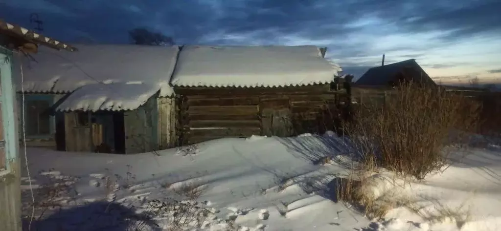Участок в Новосибирская область, Тогучинский район, с. Коурак ул. ... - Фото 1