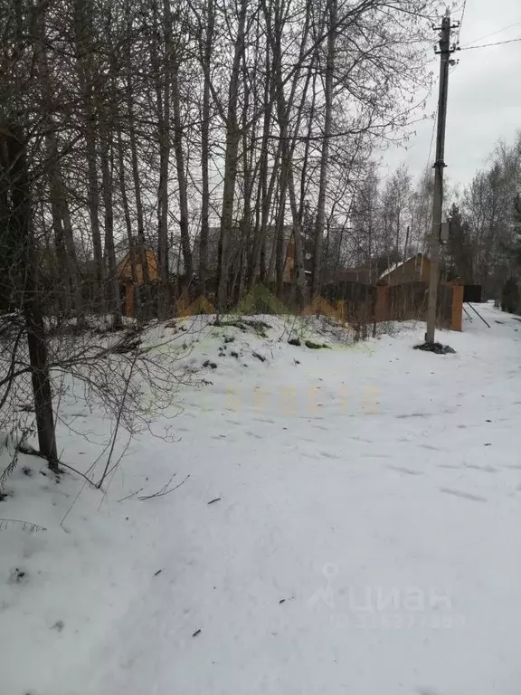 Участок в Московская область, Богородский городской округ, Нерудник ... - Фото 0