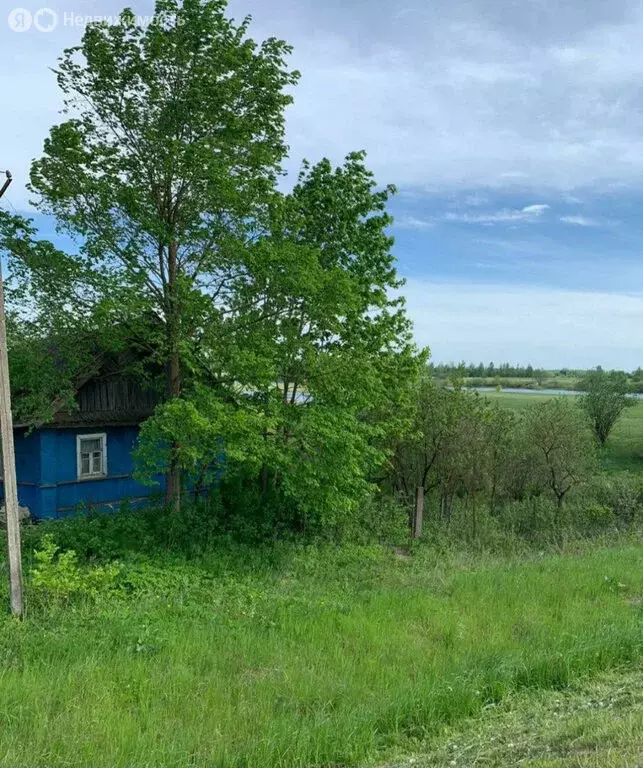 Дом в Новгородская область, Шимское городское поселение, деревня Мшага ... - Фото 1