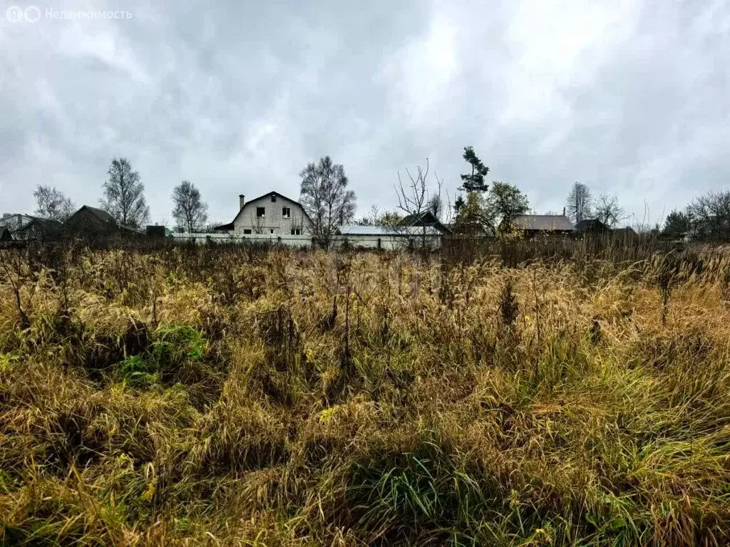 Участок в Тверская область, Калининский муниципальный округ, деревня ... - Фото 2