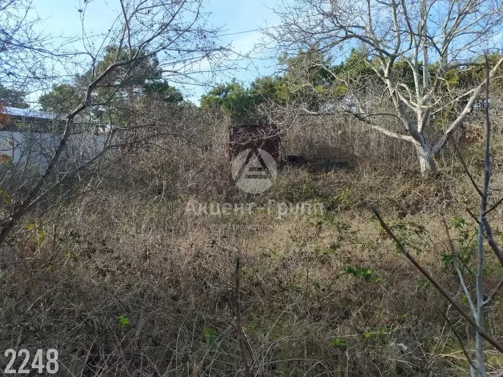 Участок в Севастополь Скалистый-89 СНТ, 4 (5.2 сот.) - Фото 2