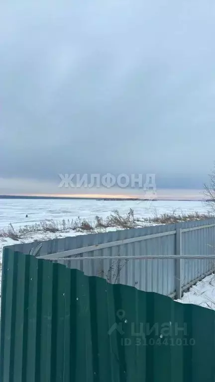 Участок в Новосибирская область, Ордынский район, с. Красный Яр ... - Фото 1