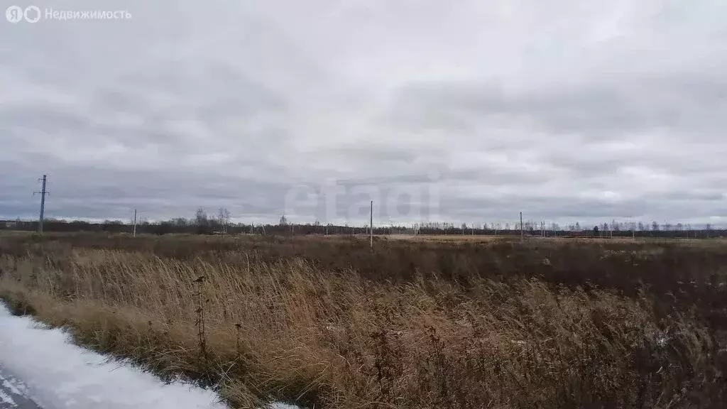 Участок в Судиславский район, Воронское сельское поселение, деревня ... - Фото 1