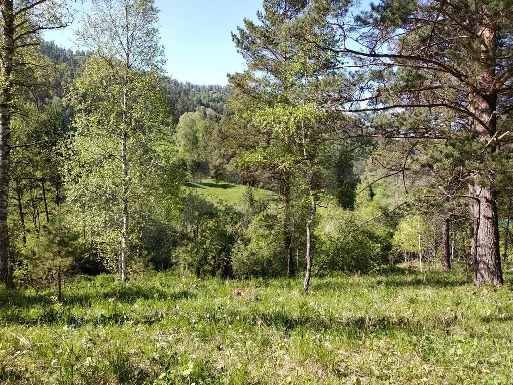 Участок 6,75 га (СНТ, ДНП) - Фото 1