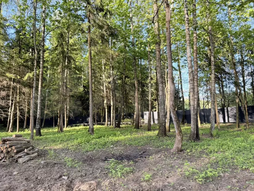 Участок 6,2 сот. (ИЖС) - Фото 1