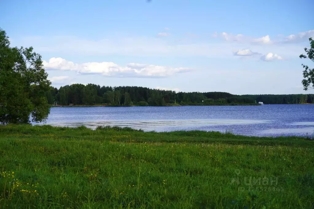 Участок в Московская область, Мытищи городской округ, д. Новосельцево ... - Фото 1