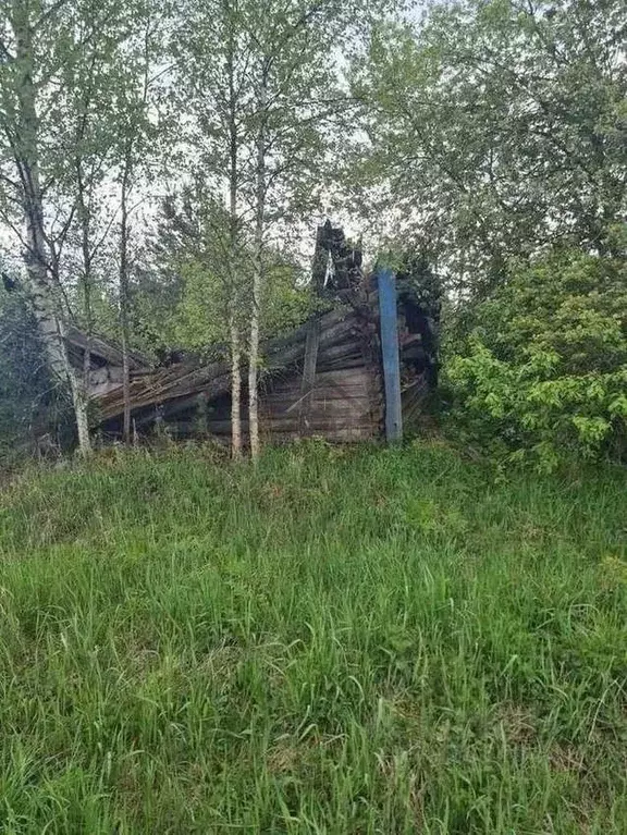 Дом в Новгородская область, Крестецкий муниципальный округ, д. Новое ... - Фото 2