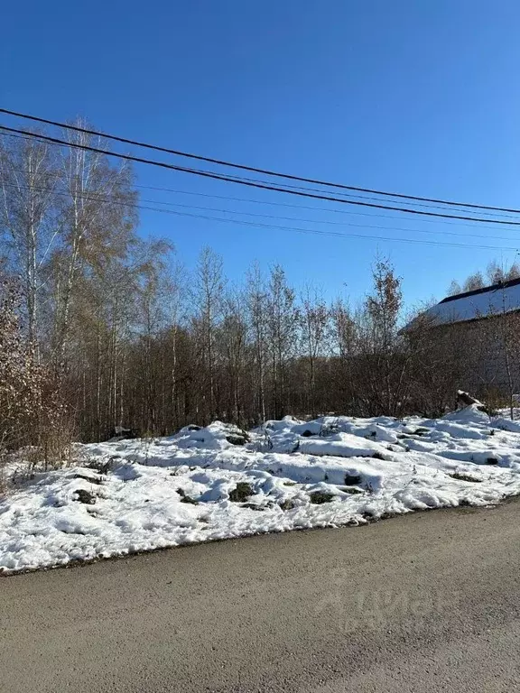 Участок в Новосибирская область, Новосибирский район, Каменский ... - Фото 1