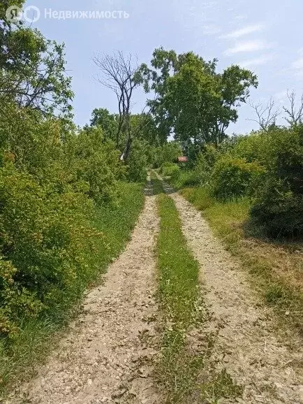 Участок в Уссурийск, СДТ Черёмушки (10 м) - Фото 0