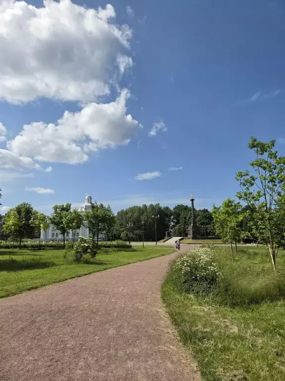3-к кв. Санкт-Петербург, Санкт-Петербург, Ломоносов ул. Красного ... - Фото 2