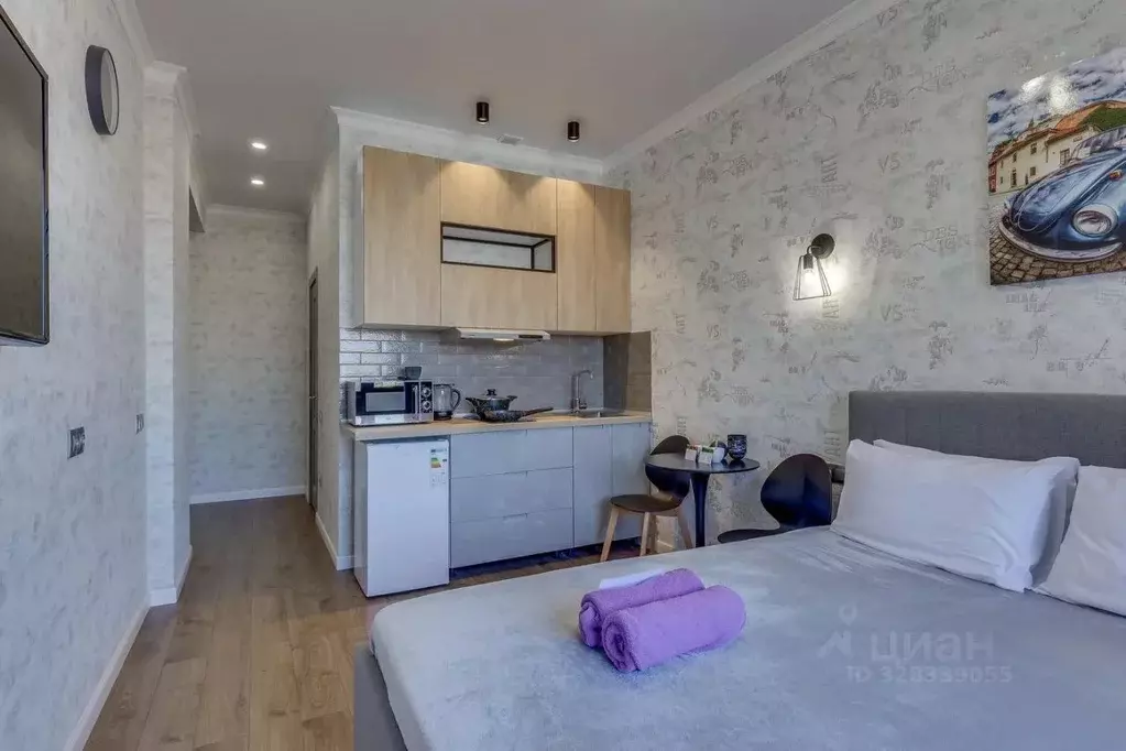 Студия Санкт-Петербург Северный просп., 123к4 (22.6 м) - Фото 1