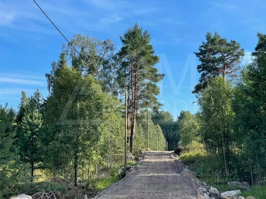 Участок в Ленинградская область, Приозерское городское поселение, пос. ... - Фото 0